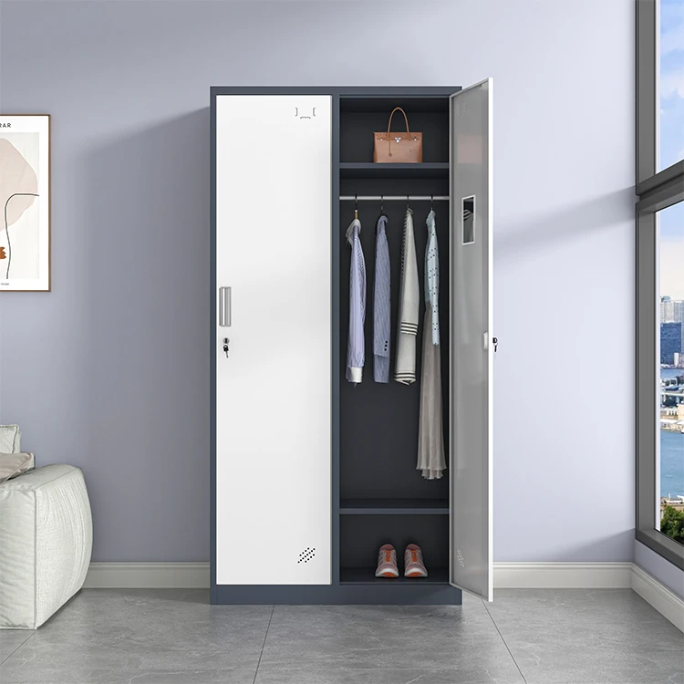 Modern standing 2-Door Steel Wardrobe Portable Home Furniture for Bedroom Apartment or Workshop Usepromote sales
