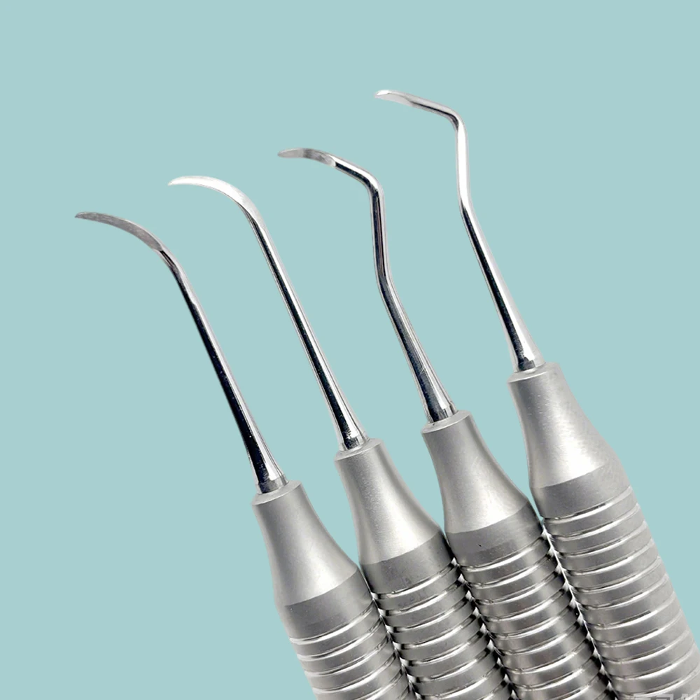 Stainless Steel Dental Scaler Set 4PCS Double Ended Tools for Teeth Cleaning and Diagnosis Professional Dental Instruments