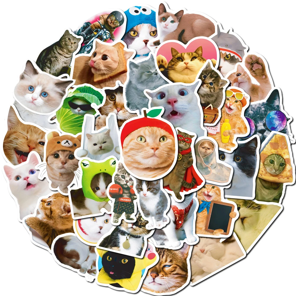 10/30/50pcs Funny Cat Meme Stickers for DIY Decor Stationery Suitcase Water Bottle Phone Laptop Scrapbooking Cute Decals Toys