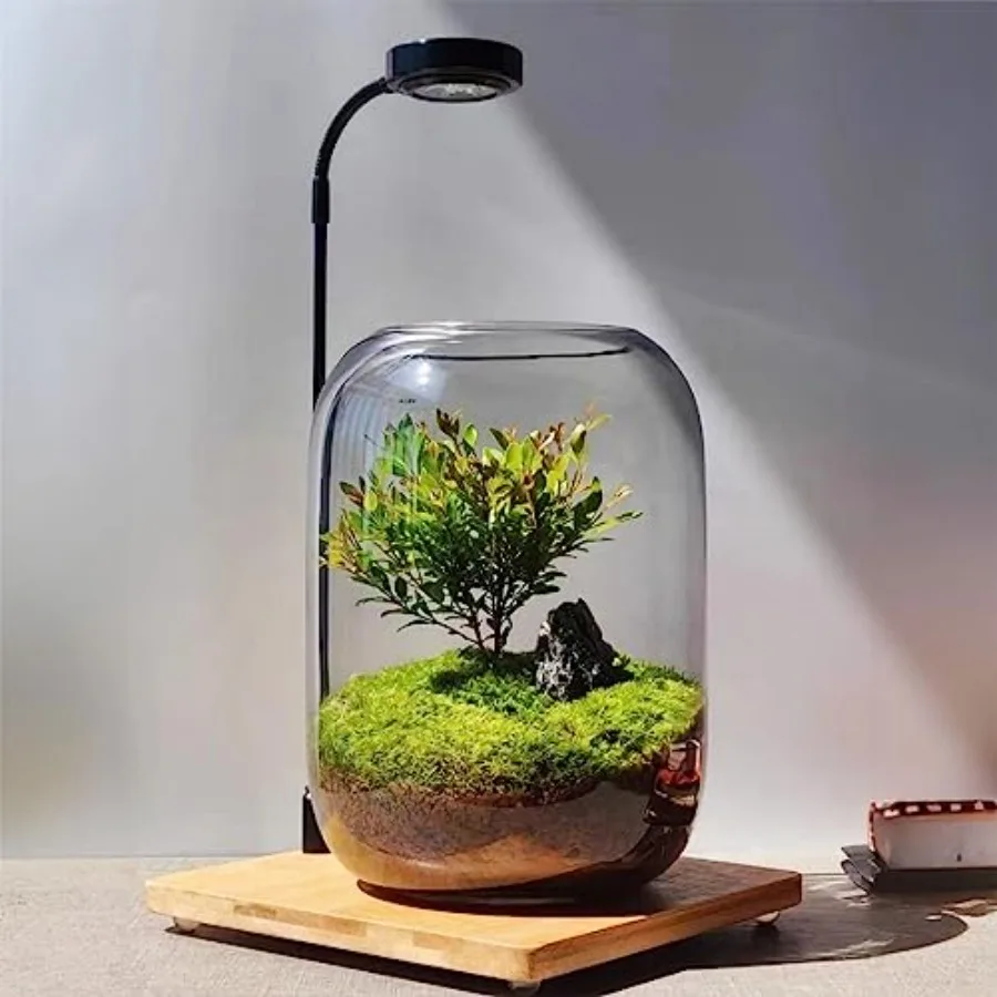 

Glass Plant Terrarium Kit for home office tabletop decoration, clear glass with white snowman and green pine trees, built-in li