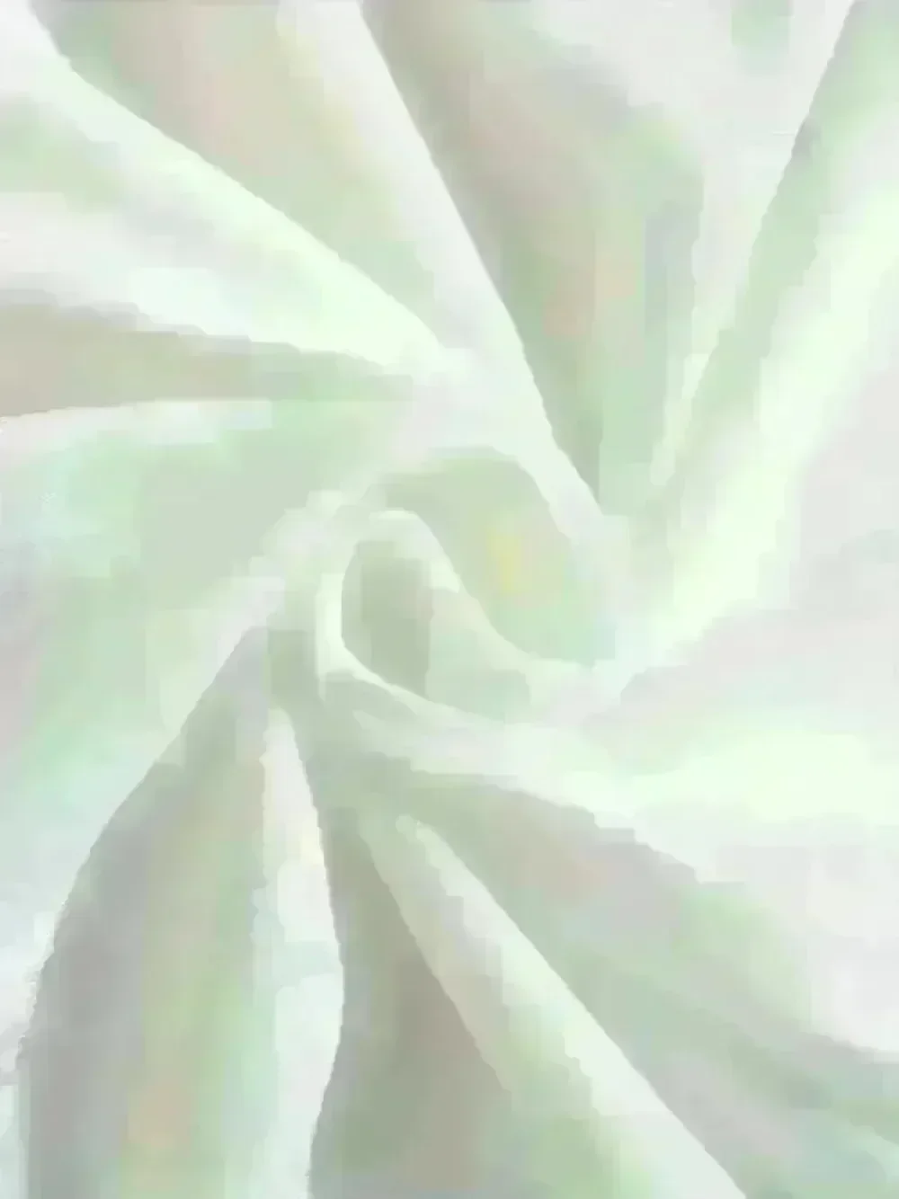 Dwustronna koszulka dla par z motywem Myszki Miki i Minnie, z napisem \\\\\\\"Happily Ever After\\\\\\\", koszulka ślubna Disney, koszulka dla świeżo upieczonych, koszulka na miesiąc miodowy.