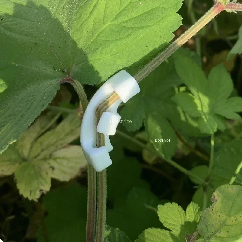 10-40Pcs 90 Degree Garden Stem Training Tool Adjustable Trainer Clip for Low Stress Training for Garden Supplies
