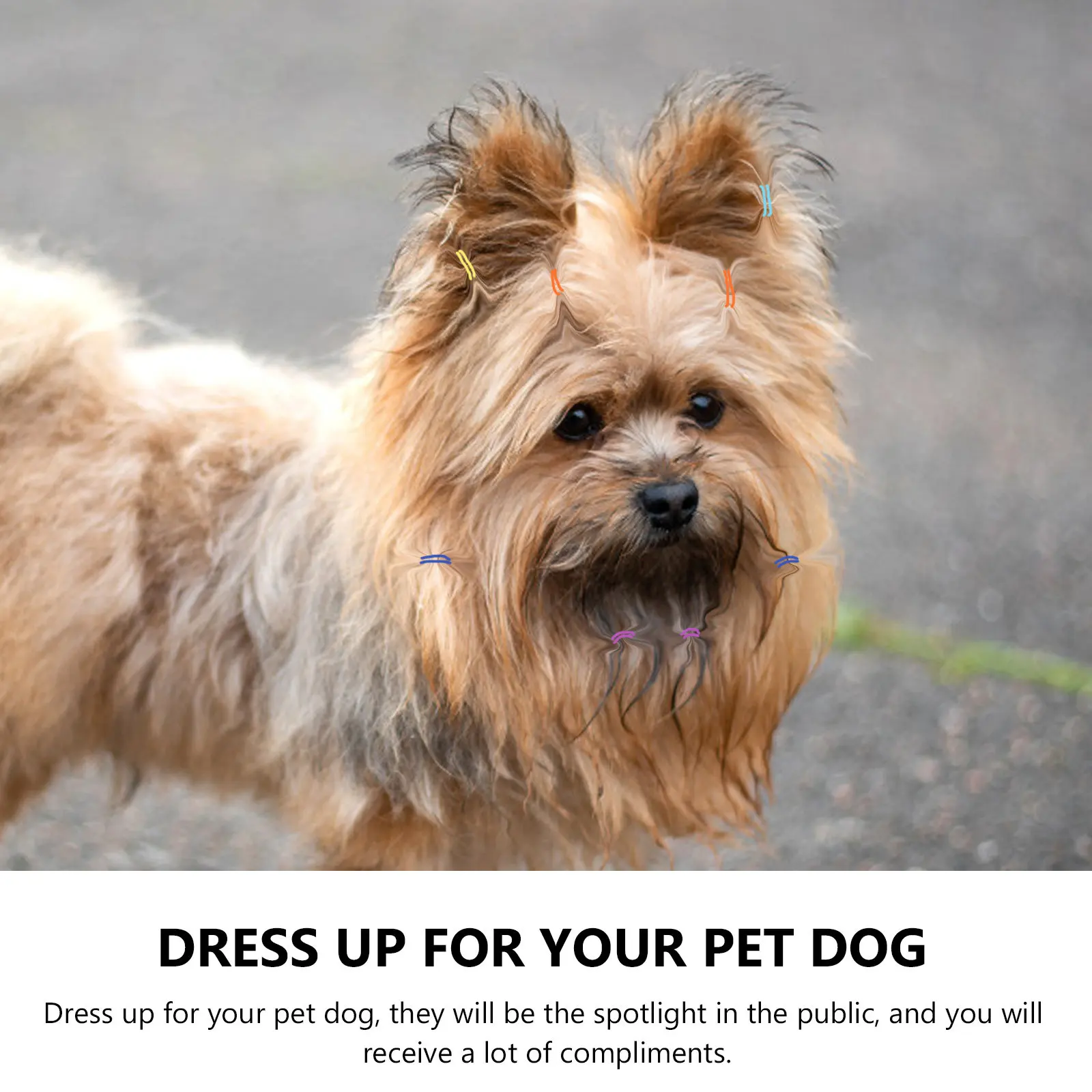 500Pcs Colorful Pet Hair Ties Dog Cat Hair Bands High Elastic Rubber Bands for Grooming Styling Daily Wear Spotlight Fashion