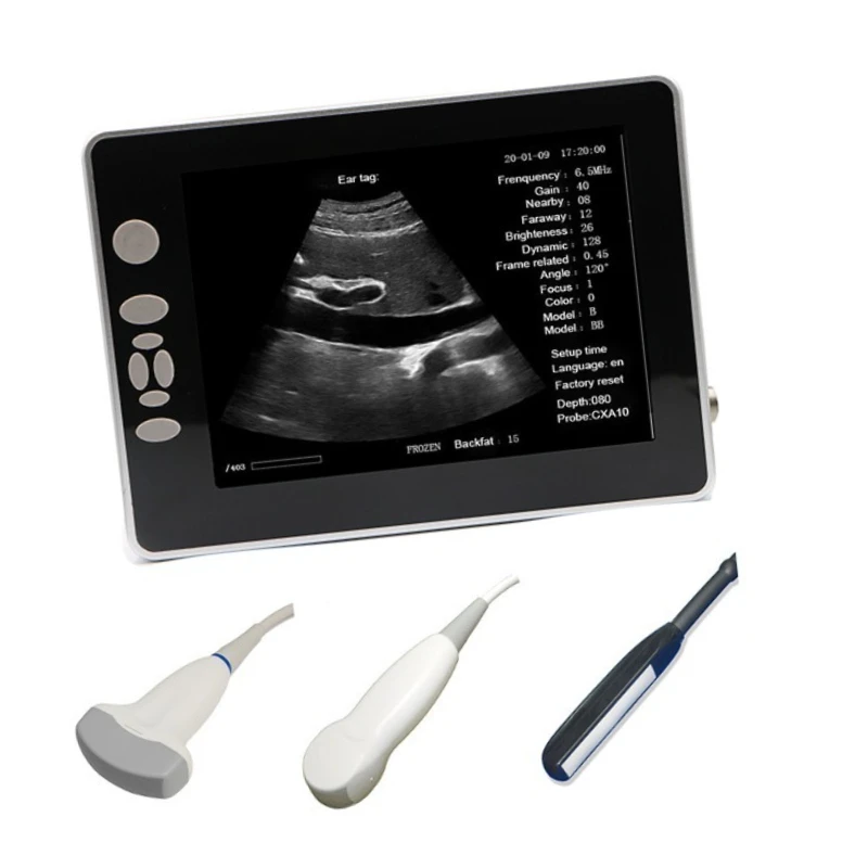 

New Model X4 Digital Scanner System Goat Portable Veterinary Ultrasound Animal Care and Supplies