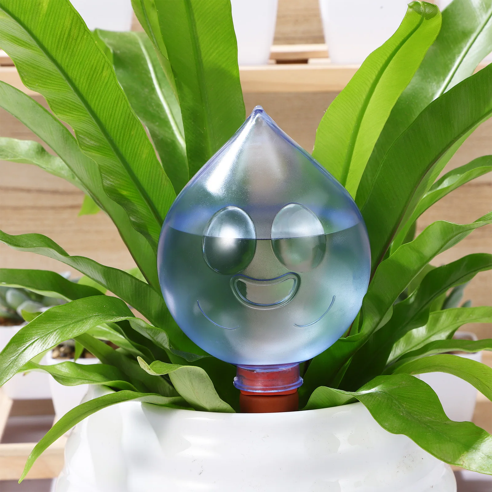 3 قطعة كرات سقي النباتات الأوتوماتيكية أجهزة الري الذاتي للنباتات الداخلية حديقة بونساي قطرة شكل ابتسامة الوجه البلاستيك #5