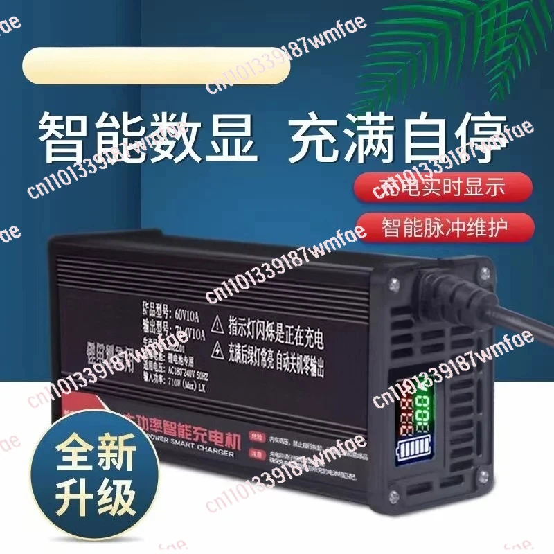 charger LCD display for Lead-acid battery maintenance-free battery charger GEL battery 48V 12A 60V 8A 72V 10A 15A