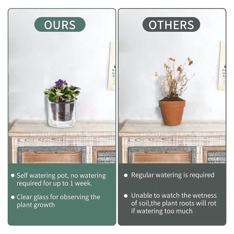 

AB13-4 Inch Self Watering Pot,African Violet Pot,Bottom Watering Glass Planter For Indoor Plants And Progagation