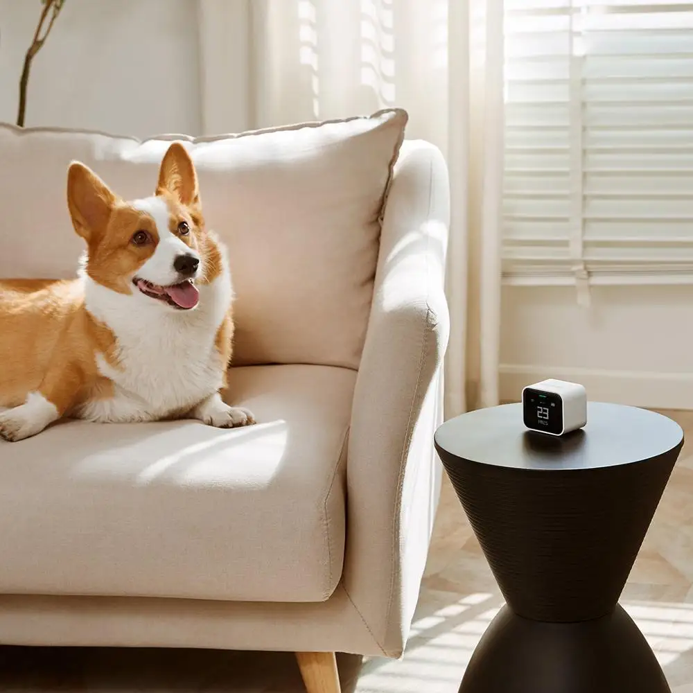 Qingping 에어 모니터 라이트 레티나 터치 스크린, CO2 PM2.5 PM10 온도 습도 감지기, 미 홈 앱, 홈킷 에어 모니터 작동