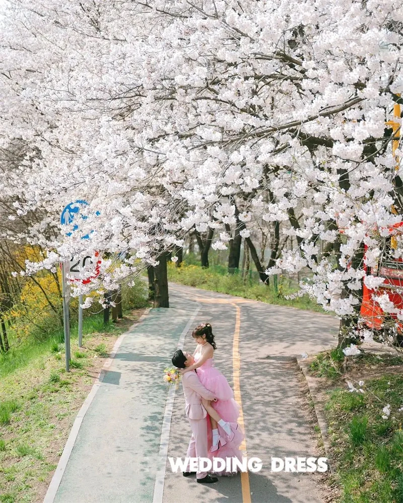 OLOEY 핑크 얇은 명주 그물 짧은 앞면 긴 뒷면 이브닝 드레스, 한국 웨딩 파티 사진 촬영, 스트랩리스 계단식 정원 무도회 가운