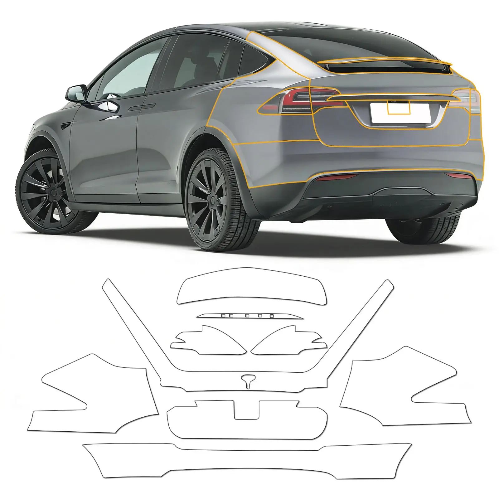 Rear Trunk