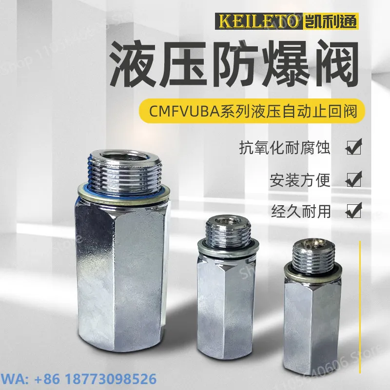 Hydraulic Pipe Explosion-proof Valve CMFVUBA01/02/03/1615/1815/2215/2715 Tubular Check Valve, 1pcs