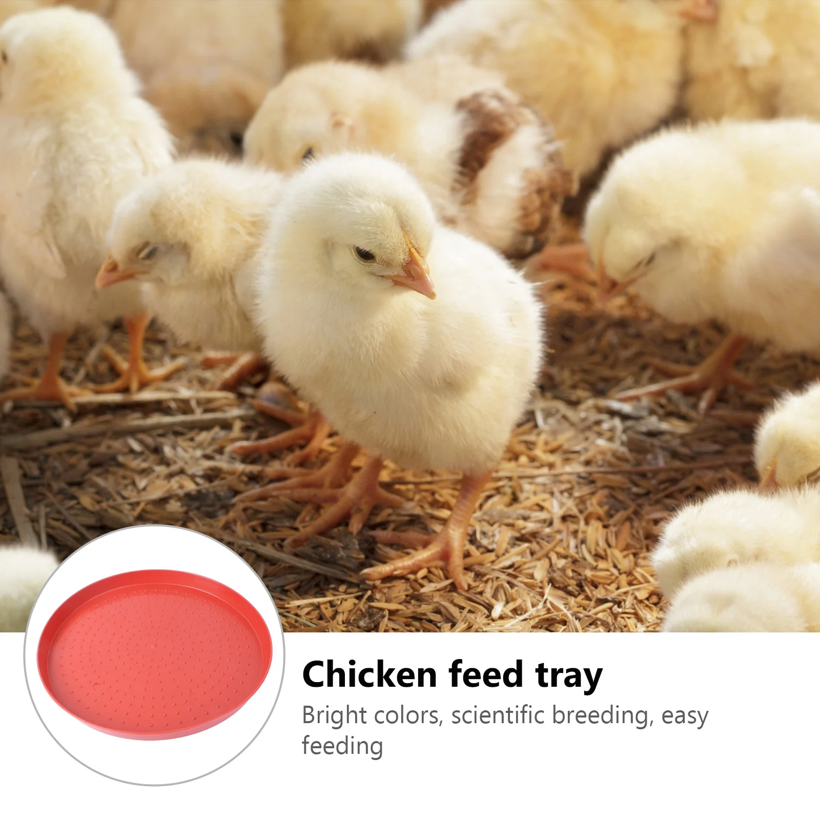 

Chicken Feeding Tray Plate Fodder Container Durable Thickened Anti-Slip Poultry Feeder For Chick Duck Quail Hen Reusable Home