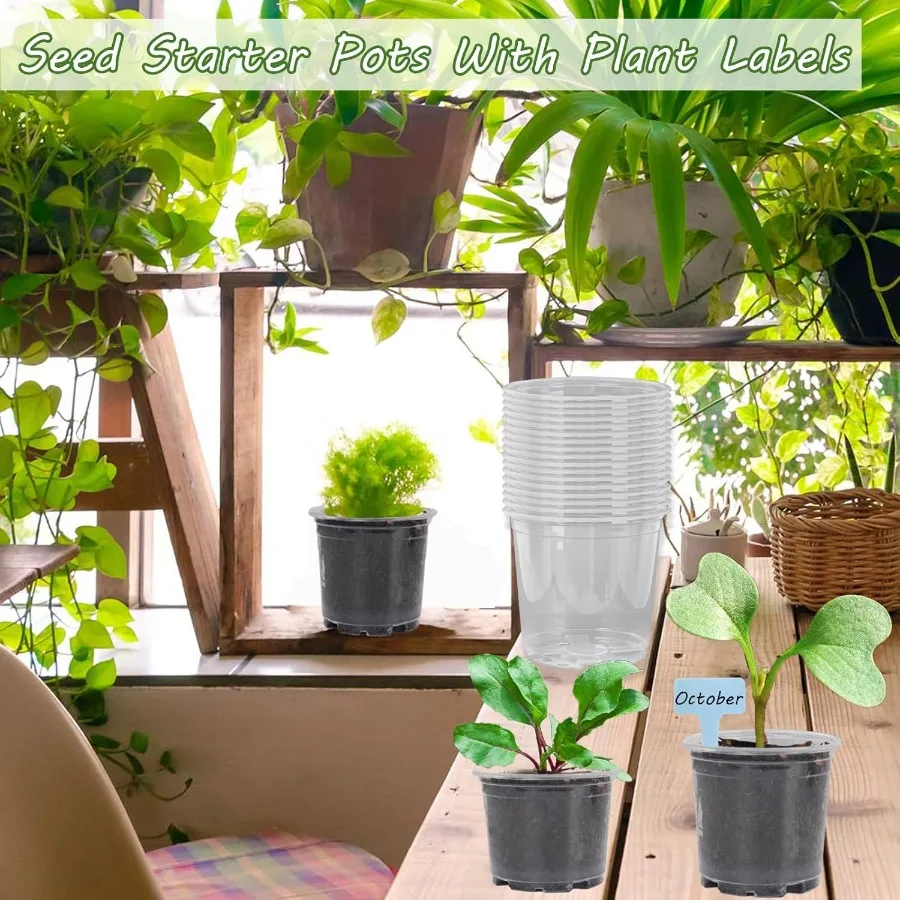 36 عبوة من أوعية الحضانة الشفافة مقاس 6 بوصات للأواني الشفافة للنباتات مع 40 قطعة من أوعية النباتات الشفافة مع فتحات تصريف البذور