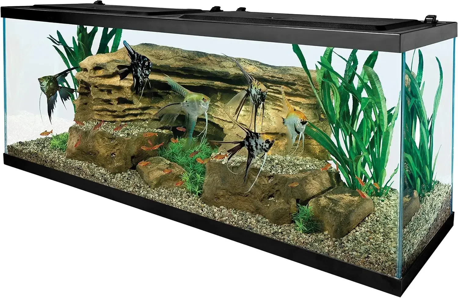 Aquarium 55 Gallons, Rectangular Fish Tank