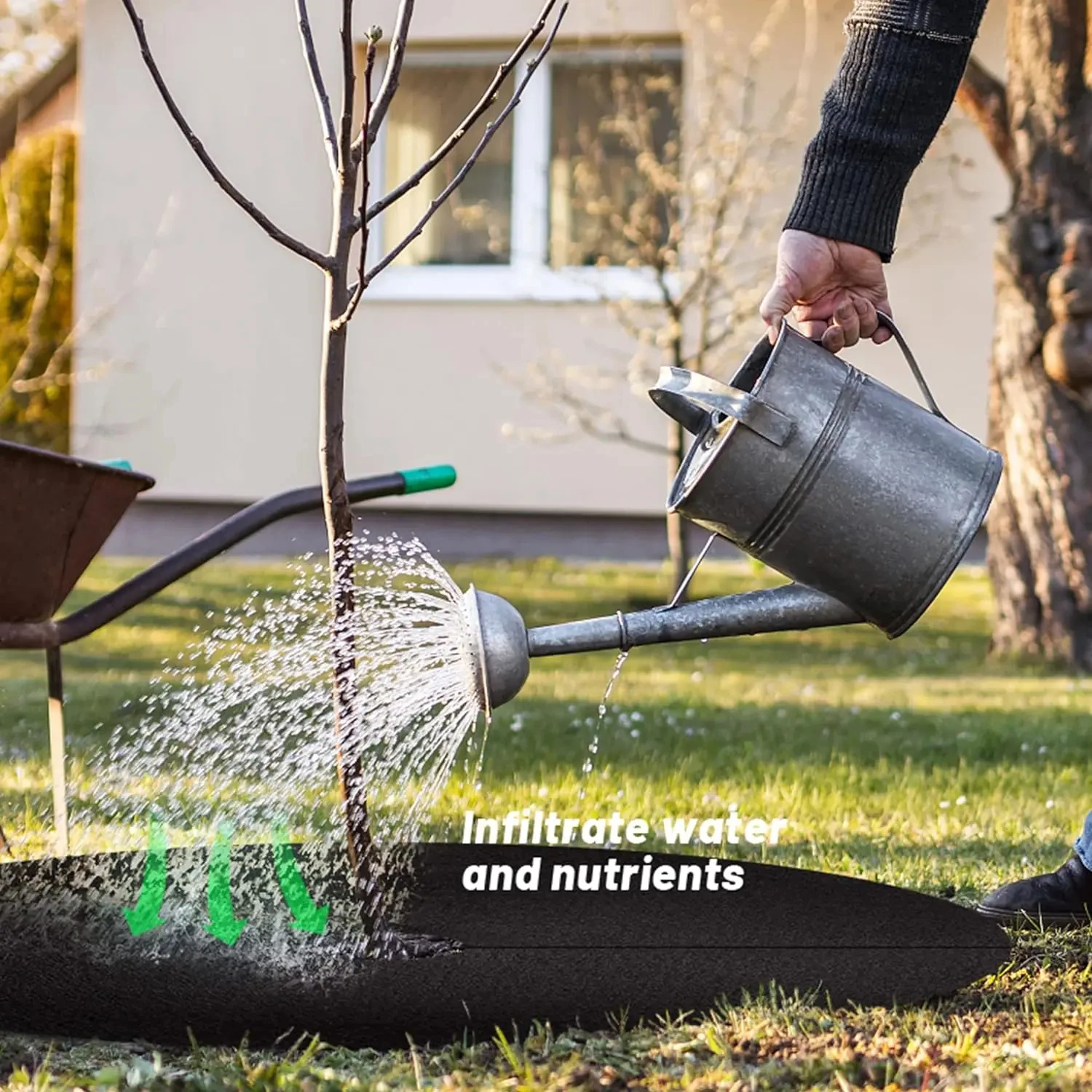Protect Your Trees with Non-Woven Tree Mulch Rings – Only .83!