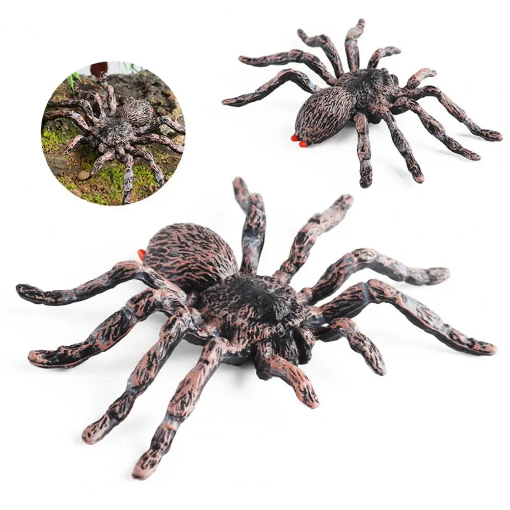 Realistic Spider Ornament Desktop Ornament Halloween Spider Model Ornament Educational Toy for Kids Desktop Garden for Halloween