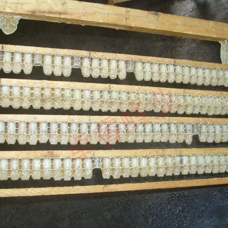 A Single and double rows of kingpin strips 63 holes Yukon strips kingpin frames