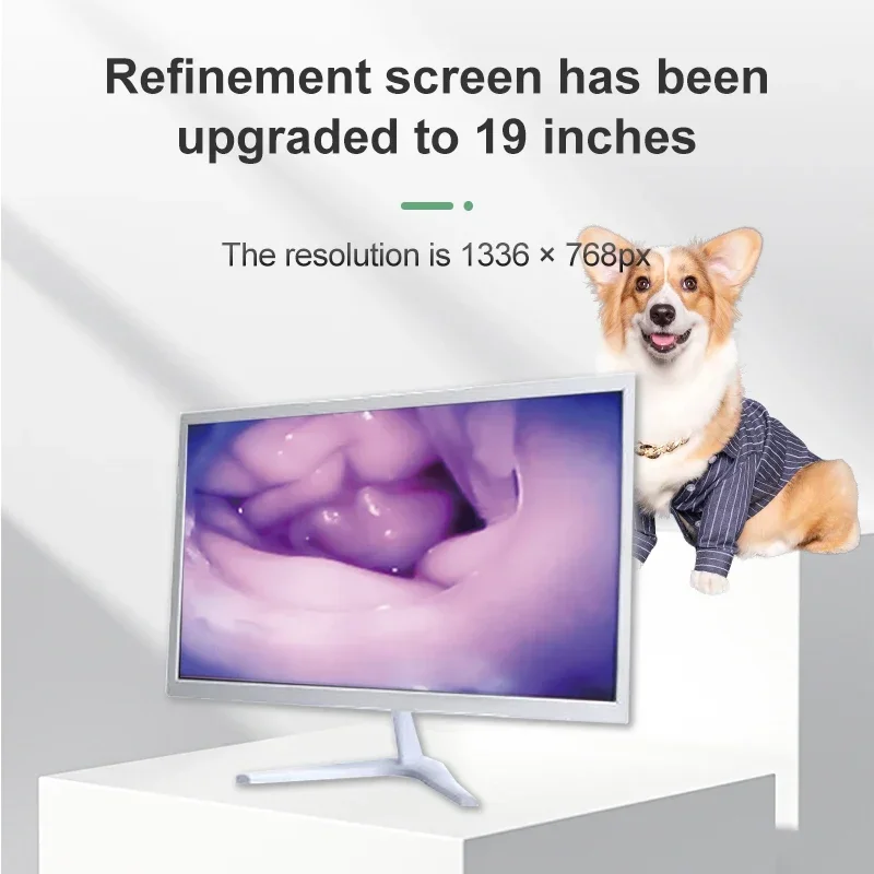 2025/TCI-6 أداة التلقيح البيطري الرقمية AI التلقيح الاصطناعي المرئي للكلاب الأبقار #5