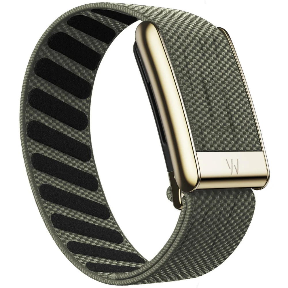 Passend für Whoop 5.0 Mg Armband mit W-Logo Leder Nylon Gewebtes Elastisches Whoop Sport-Ersatzarmband Gold Silber Metall