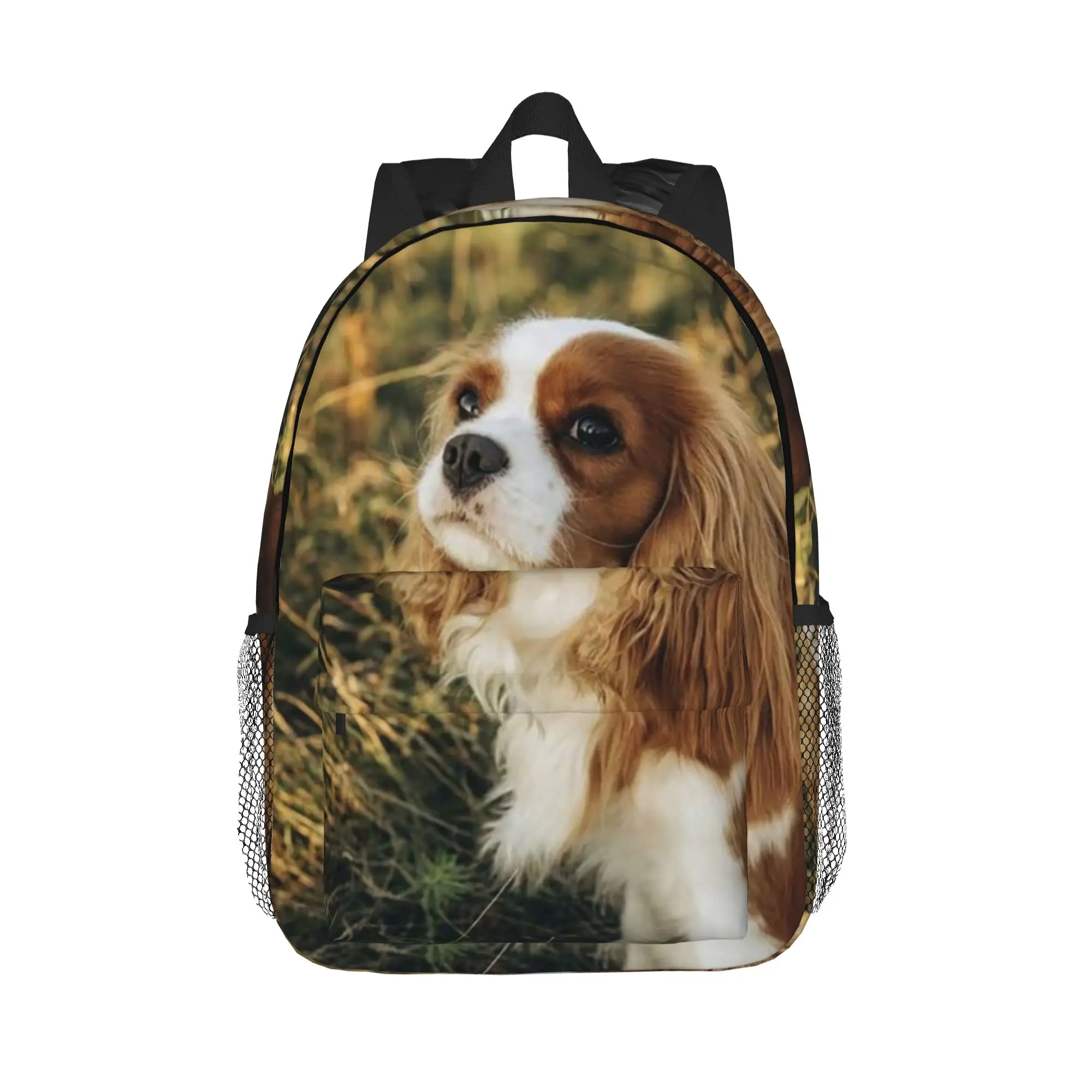 Custom Cavalier King Charles Spaniel Square Backpack Hot Sale Daypack Boys Girls BookBag Shoulder Bags for Men Women School Bag