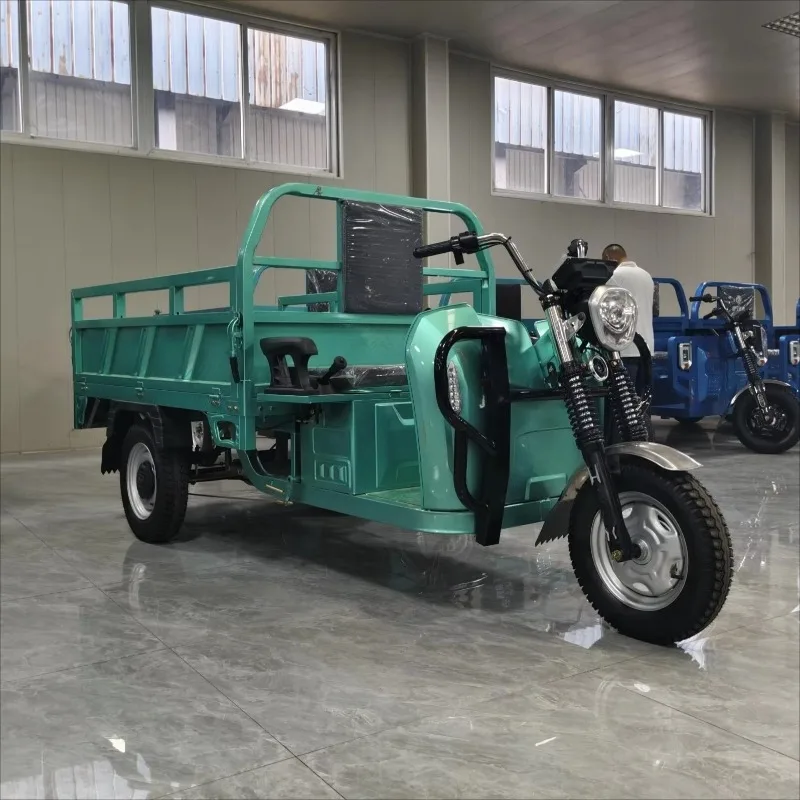 Electric Cargo Tricycle 500W Open Box Small Cargo Motorcycle Delivery Urban Electric Vehicle