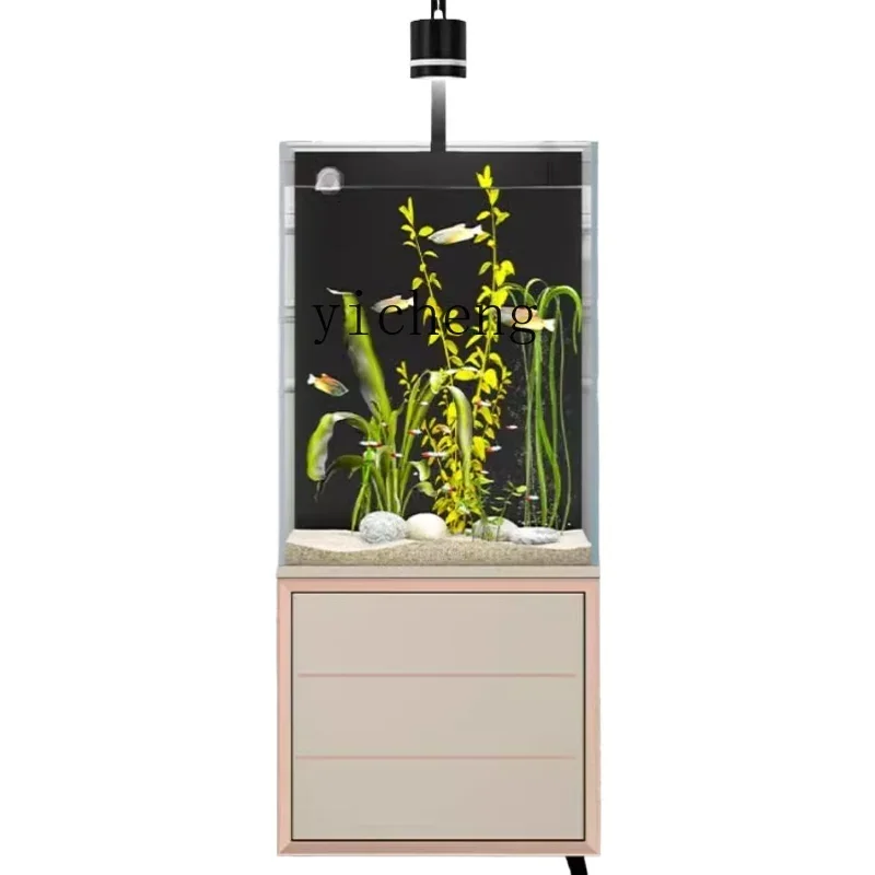 fish tank living room household small and medium-sized ultra-white back filter aquarium ecological landscaping aquatic plant