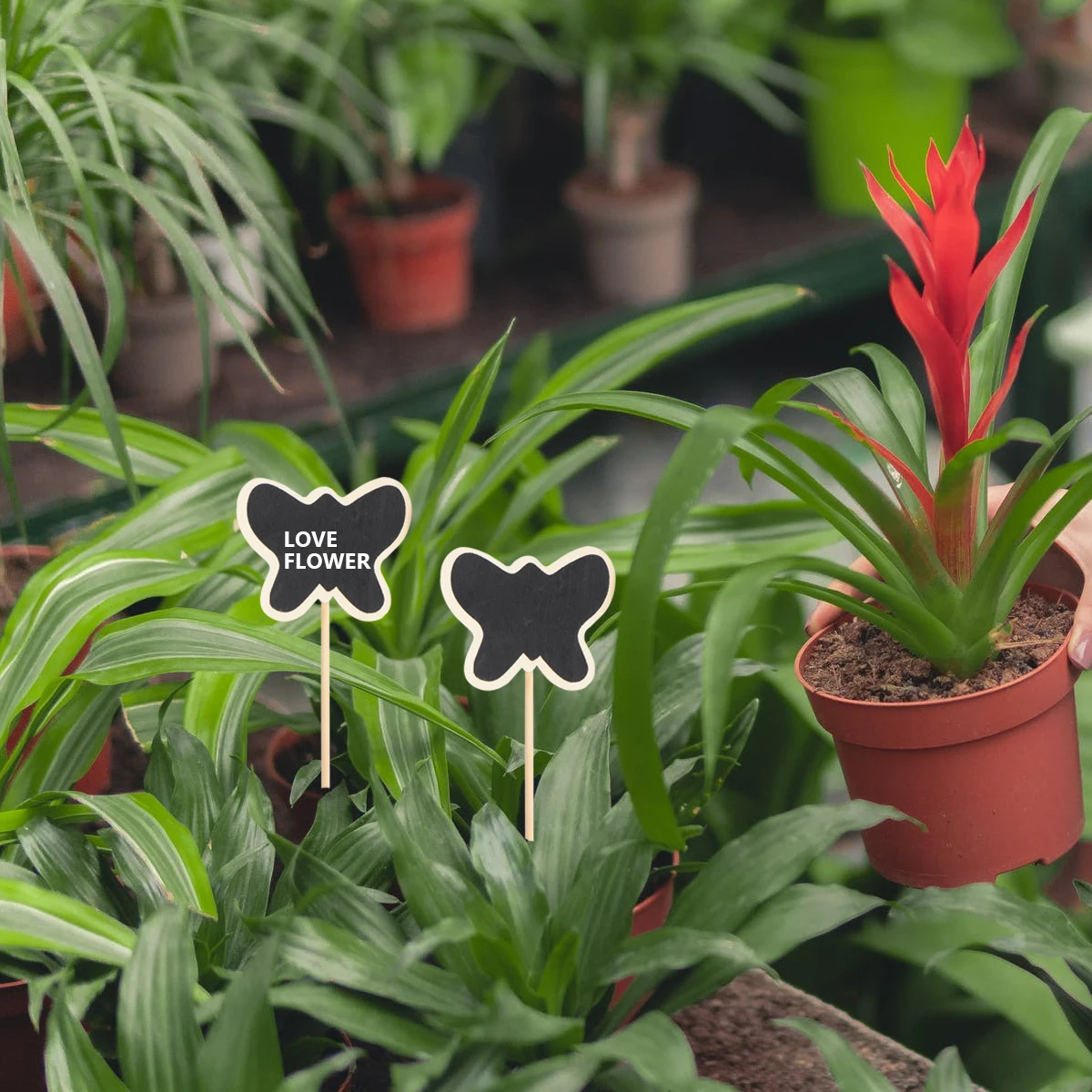 

20Pcs Wooden Mini Chalkboard Signs Black Board Garden Markers Flower Plant Tags Message Boards Wedding Table Decoration