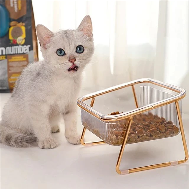 Pet Double Bowl Transparent High Foot Cat Bowl Drink water Cat Food With Golden Stand Raised Water Feeder Dog Bowl Pet Supplies