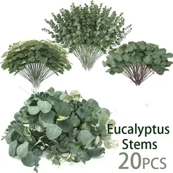 20 STKS Kunstmatige Eucalyptus Bladeren Stengels Bulk Zilveren Dollar Blad Picks Plant Nep Bloemen voor Bruidsboeketten Bloemen Decor