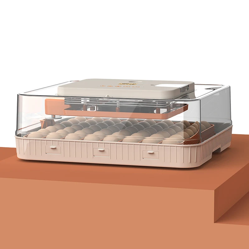 

Wonegg Automatic Mini Egg Incubator For Chicken Hatching Machine 56 Capacity With 220v 12v