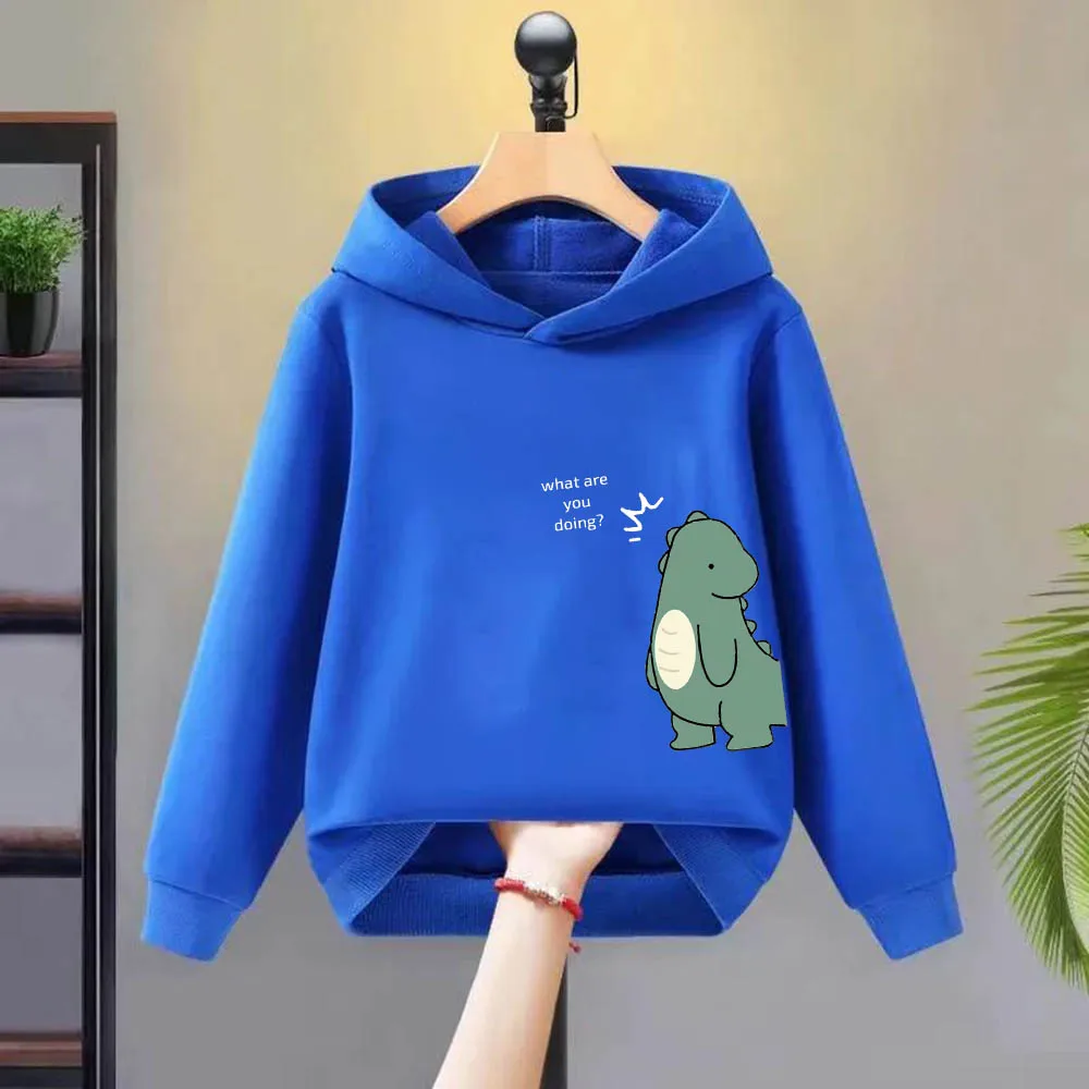 comfortable children's hoodie daily casual street wear multi-color boys' tops cute little dinosaur girls shirt kid clothing