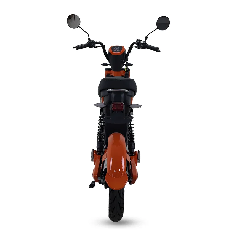 Hot Style Facto Hot Sale Electric Bicycle 1200W 45km/h Electric Motorcycle image 3