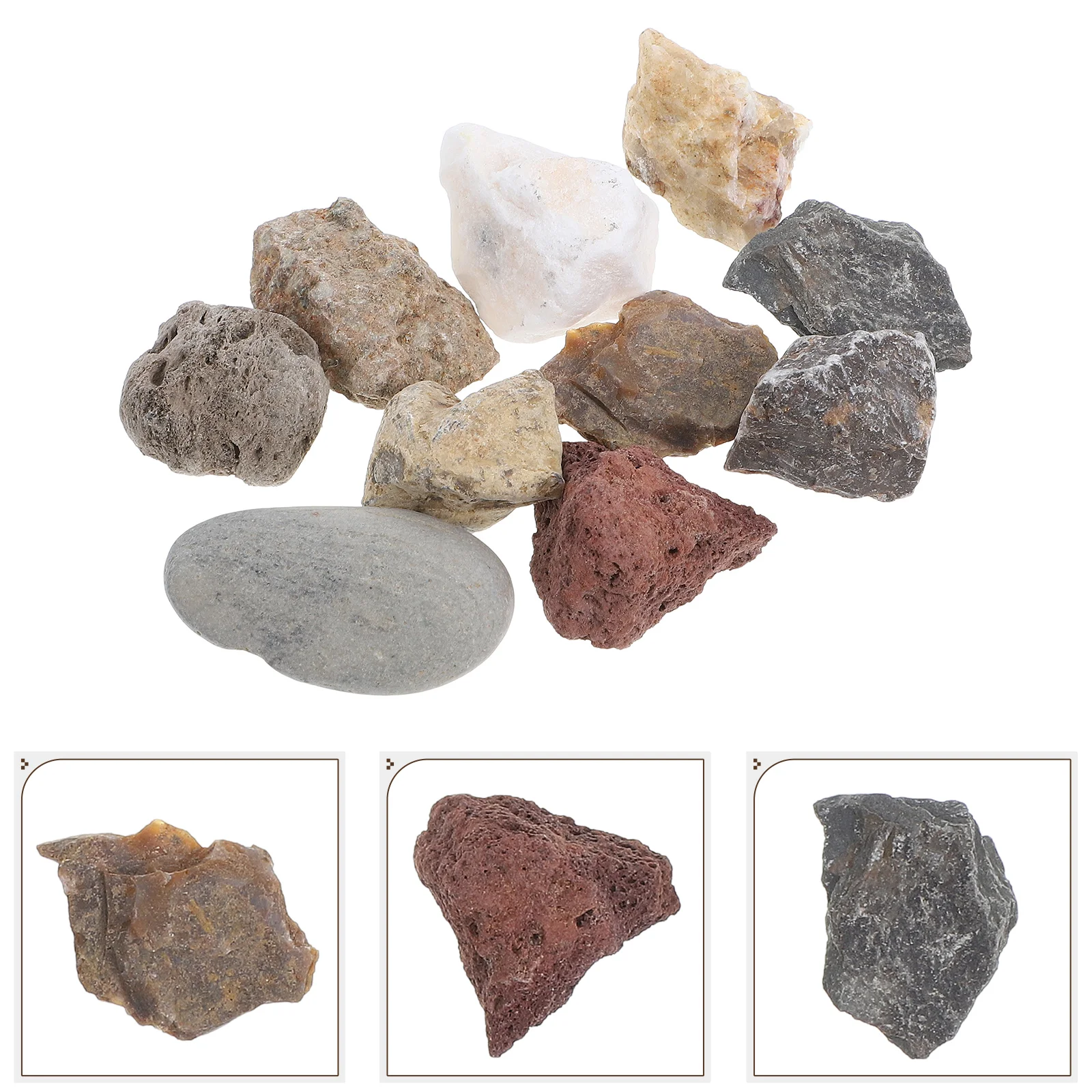 

Rock Specimen Set Collection for Field Testing Box Decorative Blocks Geology Plastic Desktop Ornament Student Use Kids