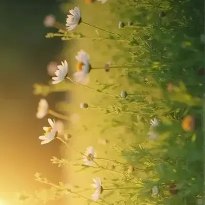 

Ni-MH аккумулятор большой емкости 7,2 В, 6800 мАч с разъемом Tamiya для радиоуправляемого автомобиля, грузовика, лодки, танка - аккумулятор для радиоуправляемого автомобиля