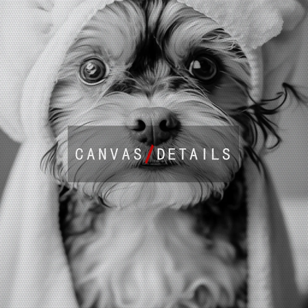 Vintage Black White Baby Dog In A Bathtub Bathroom Funny Animal Toilet Art Poster Print Canvas Painting Room Home Decor