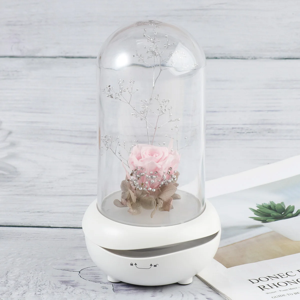 

Aromatherapy Machine Night Light Diffuser Eternal Flower Humidifier Preserved Miniture Landscape