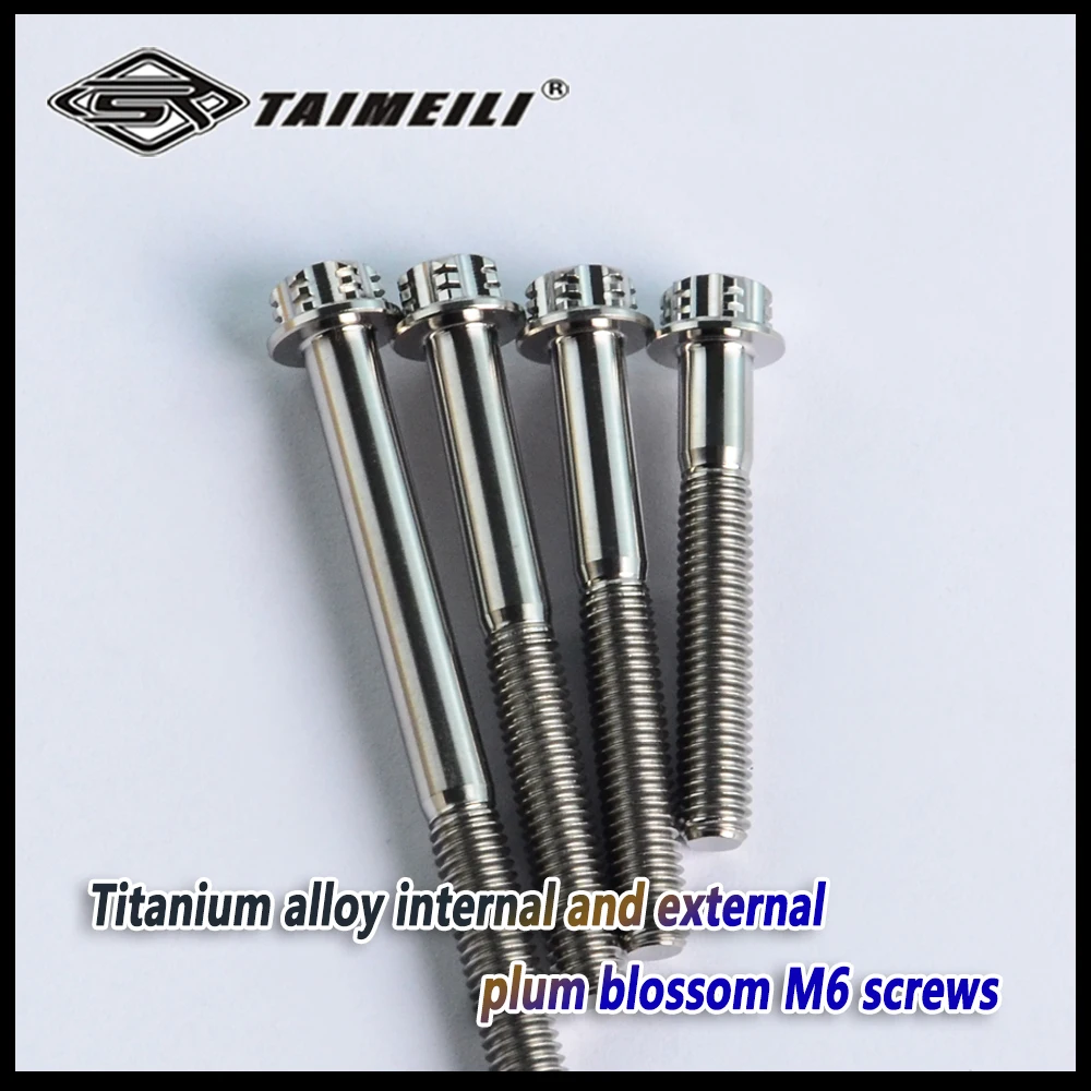 TAIMEILI Titanium screw, torx head flange screw, m6x15/20/25/30/35 / 40/50/60/65/70/80/85/90mm thread pitch,1.0 motorcycle screw
