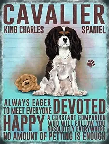 

Cavalier King Charles Spaniel Dog Animal Metal Sign TIN Plaque Print Picture Retro Wall Home Bar Pub Vintage Cafe Decor posters