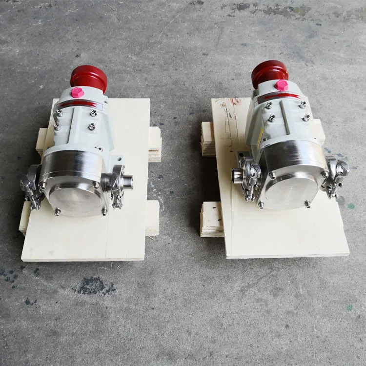 

CE Certification SUS Lobular Pumps Electric Gear Pump Stainless Steel Pump Food Grade and Sanitary Liquid for Mechanical Seal