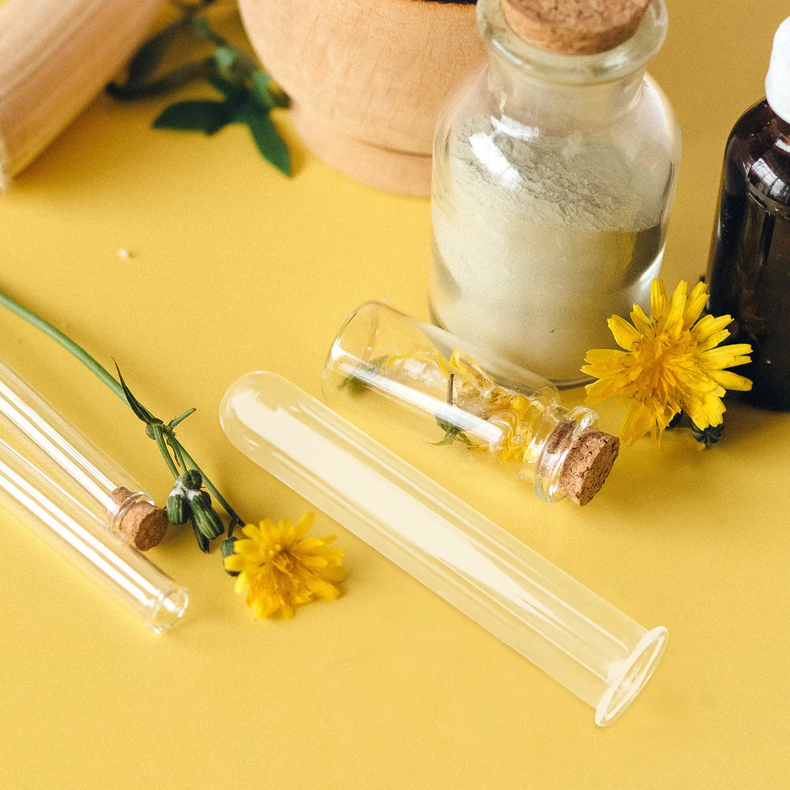

4 Pcs Plant Hydroponic Test Tube Vase Water Glass Propagation Tubes Desktop Planter