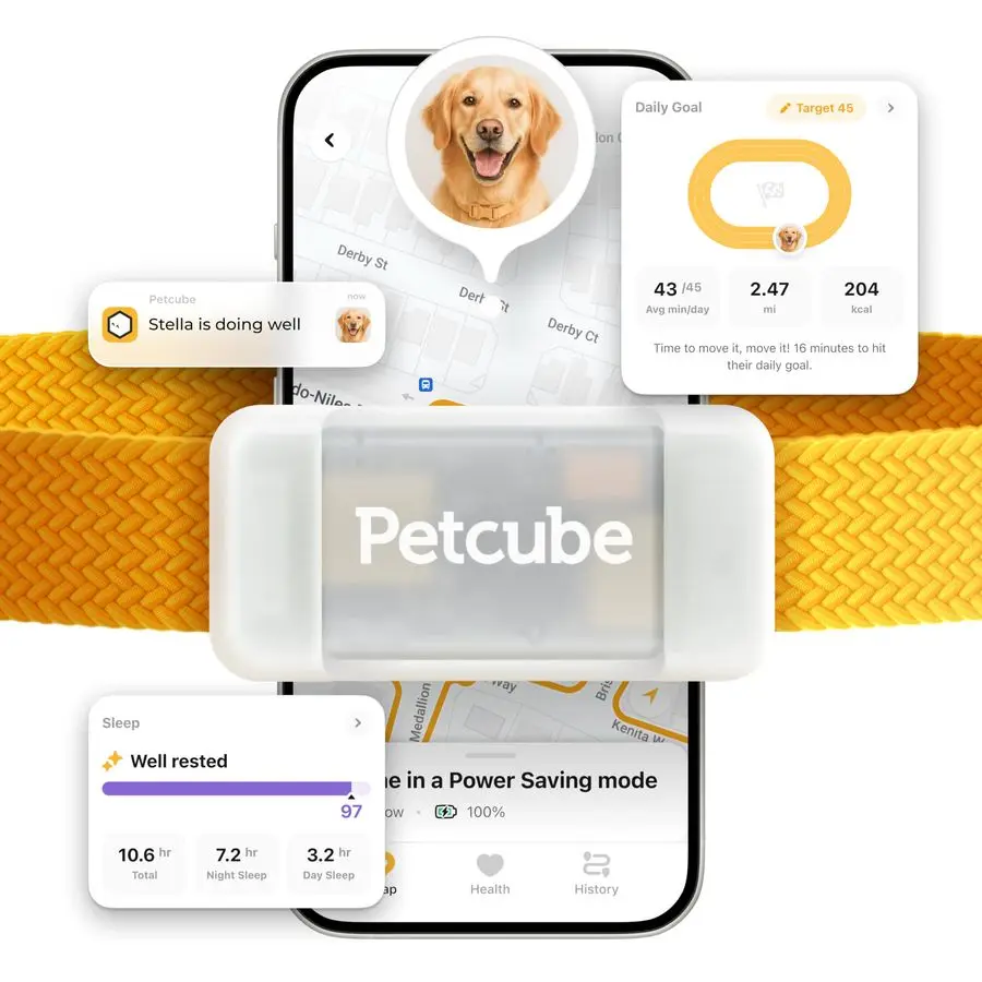 

GPS-трекер для собак: отслеживание местоположения в реальном времени, оповещения о побеге и виртуальные ограждения, мониторинг активности и состояния здоровья, GlowinTheDark