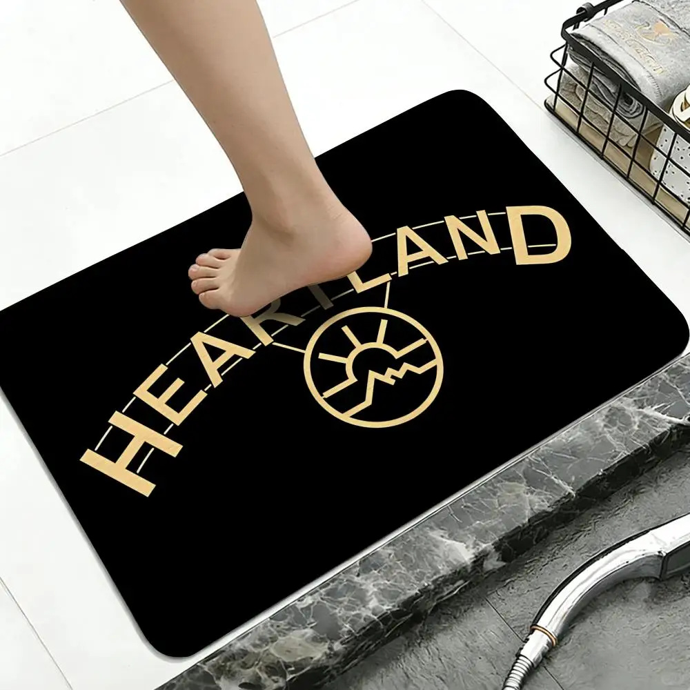 Brand H-Heartland Floor Mat Diatomite Bath Mat, Quick Dry, Absorbent, Multi-Scene Mat