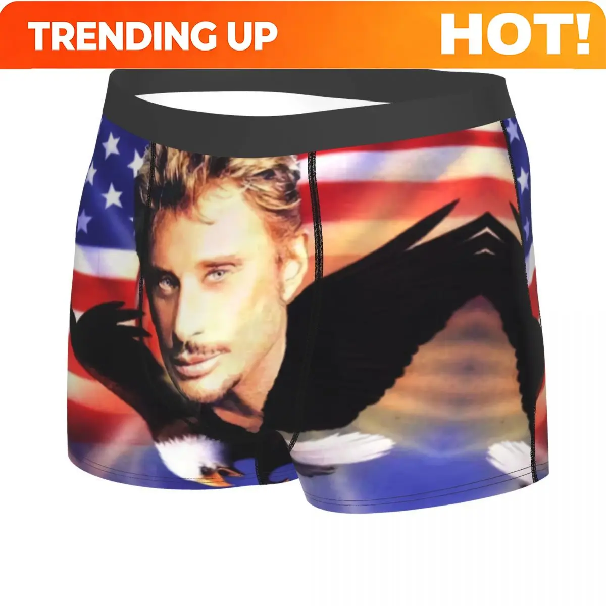 Custom Johnny Hallyday Underwear Male Printed Singer French France Boxer Shorts Panties Briefs Soft Underpants