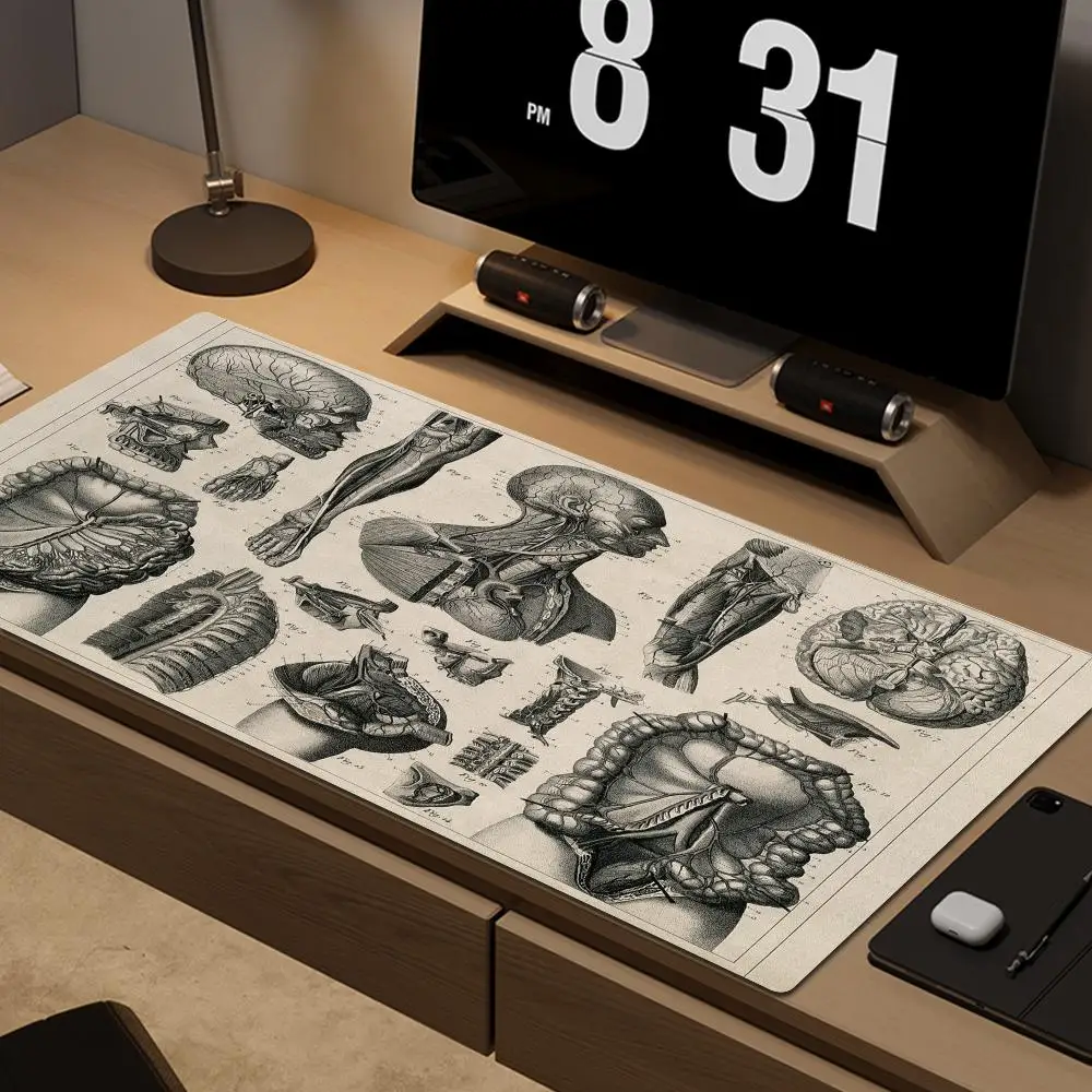 For Medical Anatomy Explanation Shortcut Keys Mouse Pad Large Keyboard Mousepad Gaming Desk Mat For Medical Researchers Non-Slip