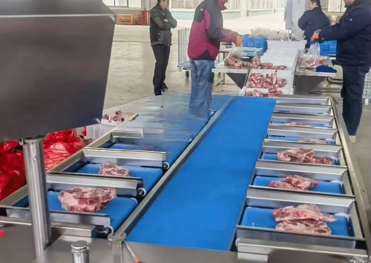 Weight combination fish fillet weighing sorting machine fish packaging machine set weight