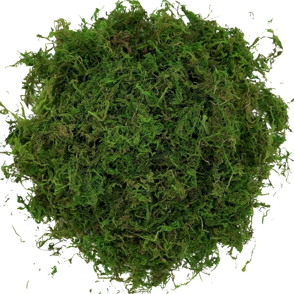 50/100g Fake Moss Artificial Green Moss for Potted Plants Fairy Garden Accessories