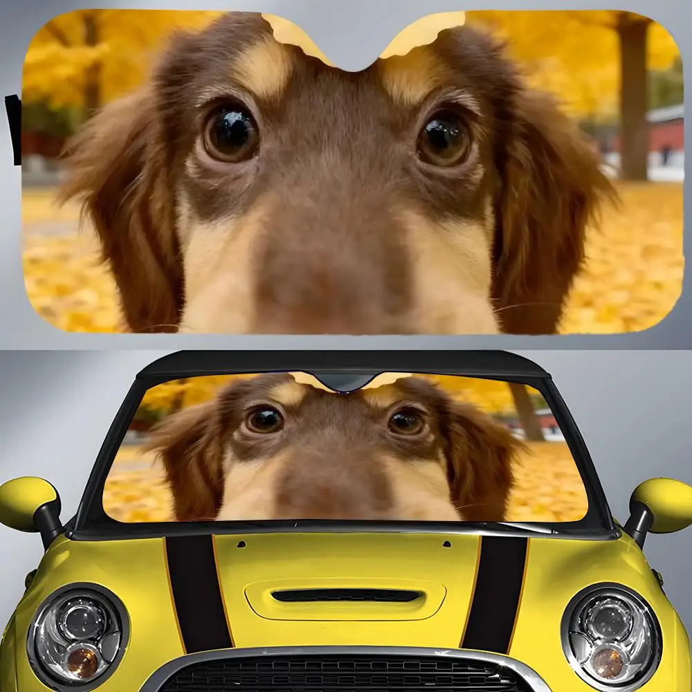 

Pattern D-Dachshund Sun Visor Car Front Windshield Sun Shade UV Block Heat Insulation Sun Visor Window Cover