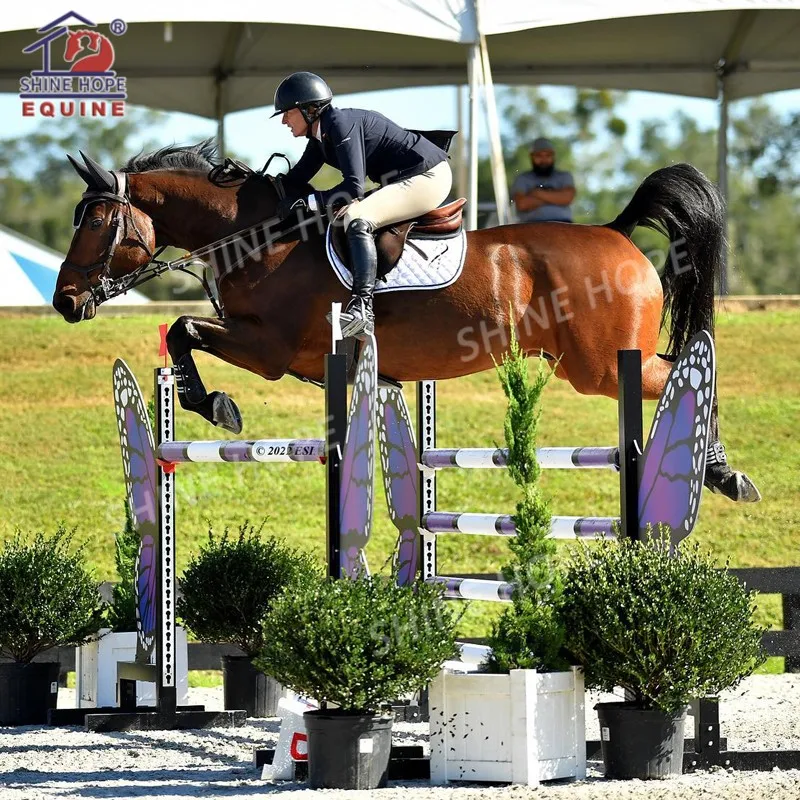 سلسلة تصميم جديدة أكثر متانة لمنتجات الفروسية لعرض الحصان #1