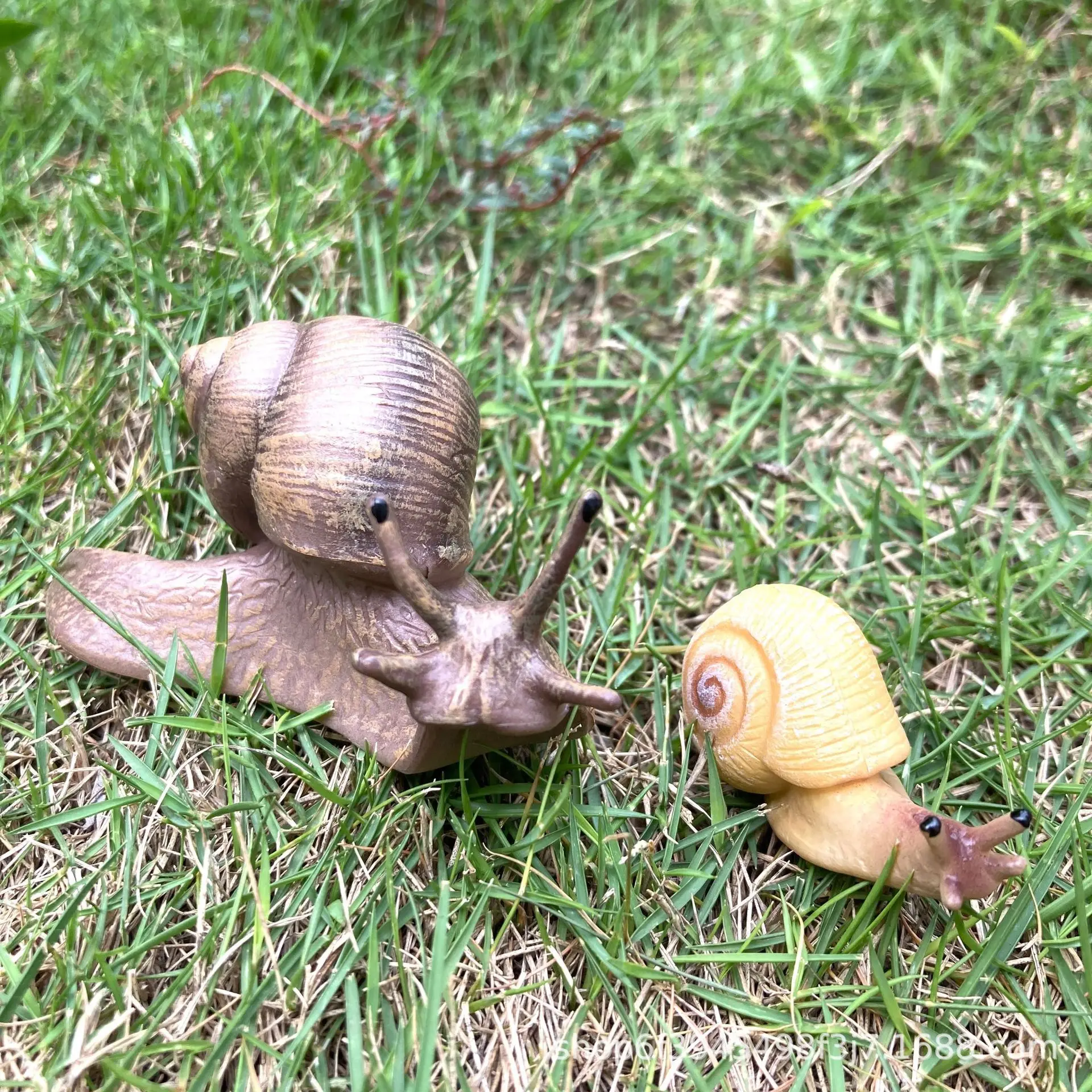 Simulation animal insect model mini animal snail growth cycle ornament Cognitive Educational Toys for children Gift