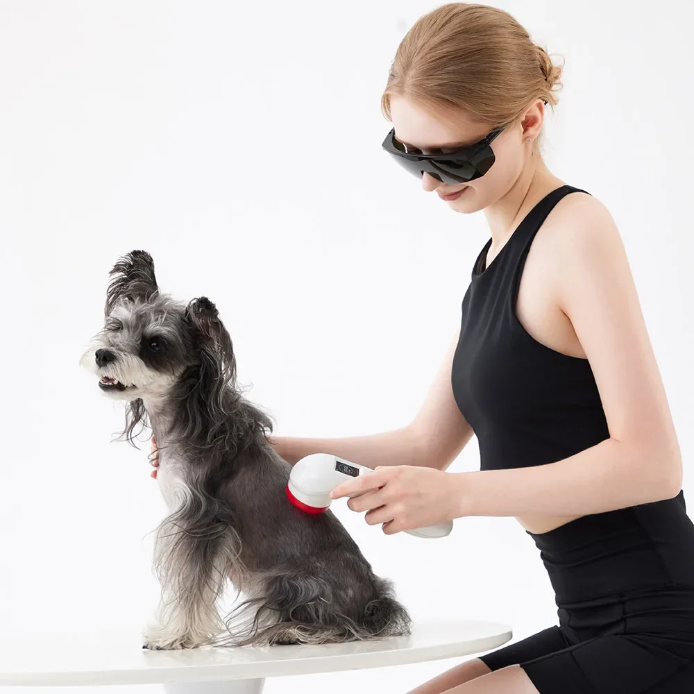 

Lotuxs Animals 808mn 650nm Cold Laser Therapy Device For Pain Relief, Wound Recovery, And Swelling Reduction